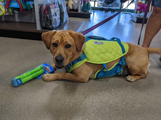 Pet Supply Store «Purely Pets», reviews and photos, 13723 23 Mile Rd, Shelby Charter Township, MI 48315, USA