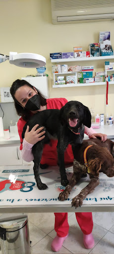 Clínica Veterinaria Alcores en Mairena del Alcor