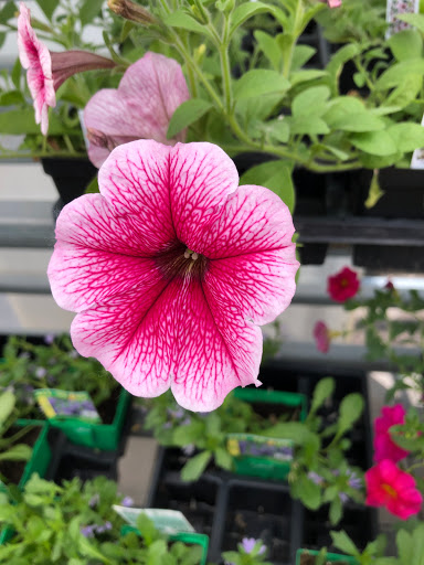 Hardware Store «Hardware Hank», reviews and photos, 1017 Central Ave NW, East Grand Forks, MN 56721, USA