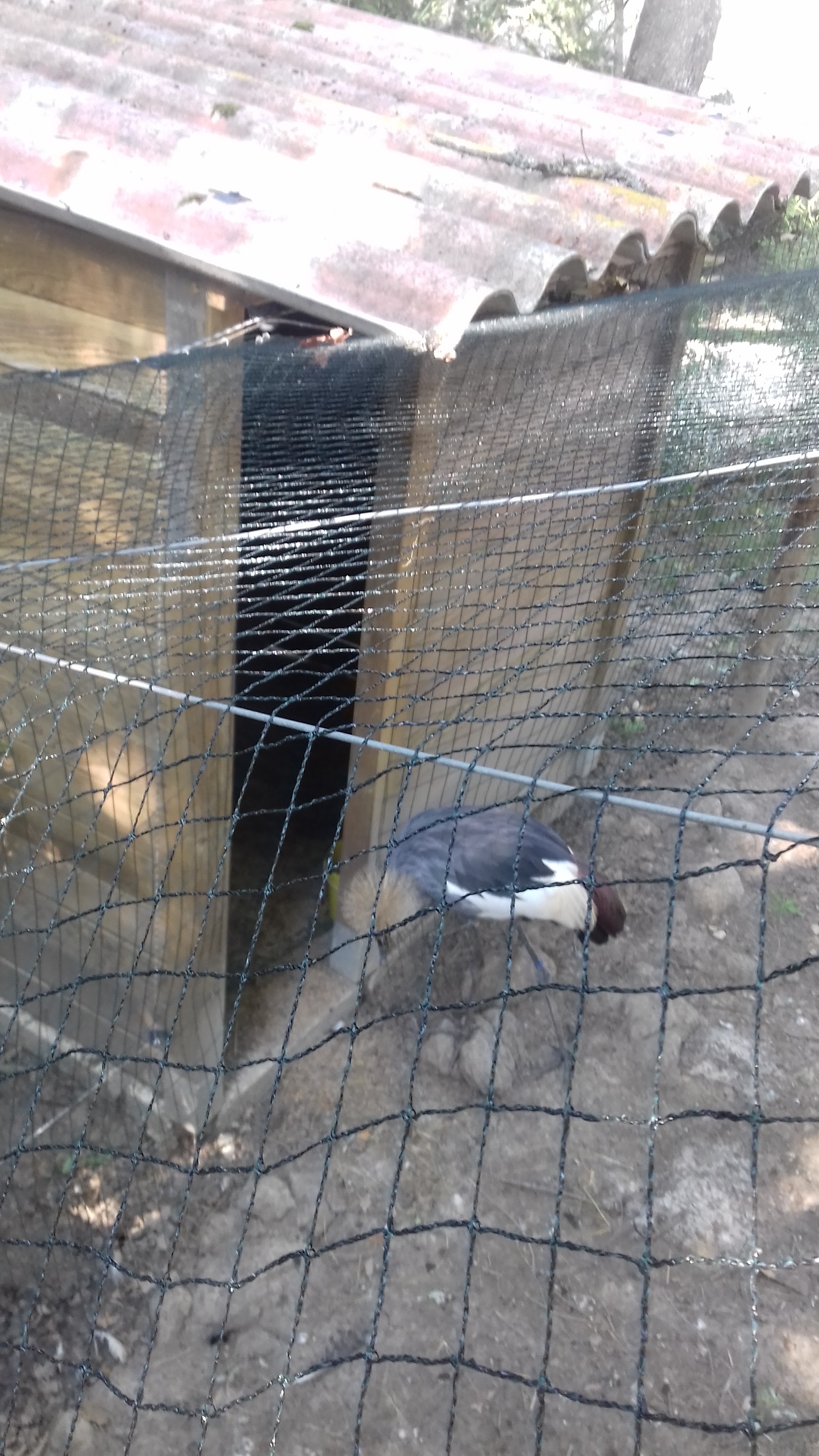 Photo n° 2 de l'avis de Laurent.o fait le 20/08/2018 à 10:25