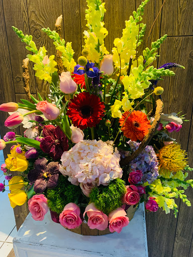 Interflor – Guasave