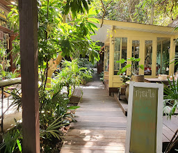 7tique coffee shop photo
