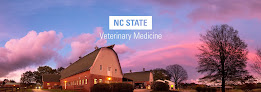 The Nc State College Of Veterinary Medicine