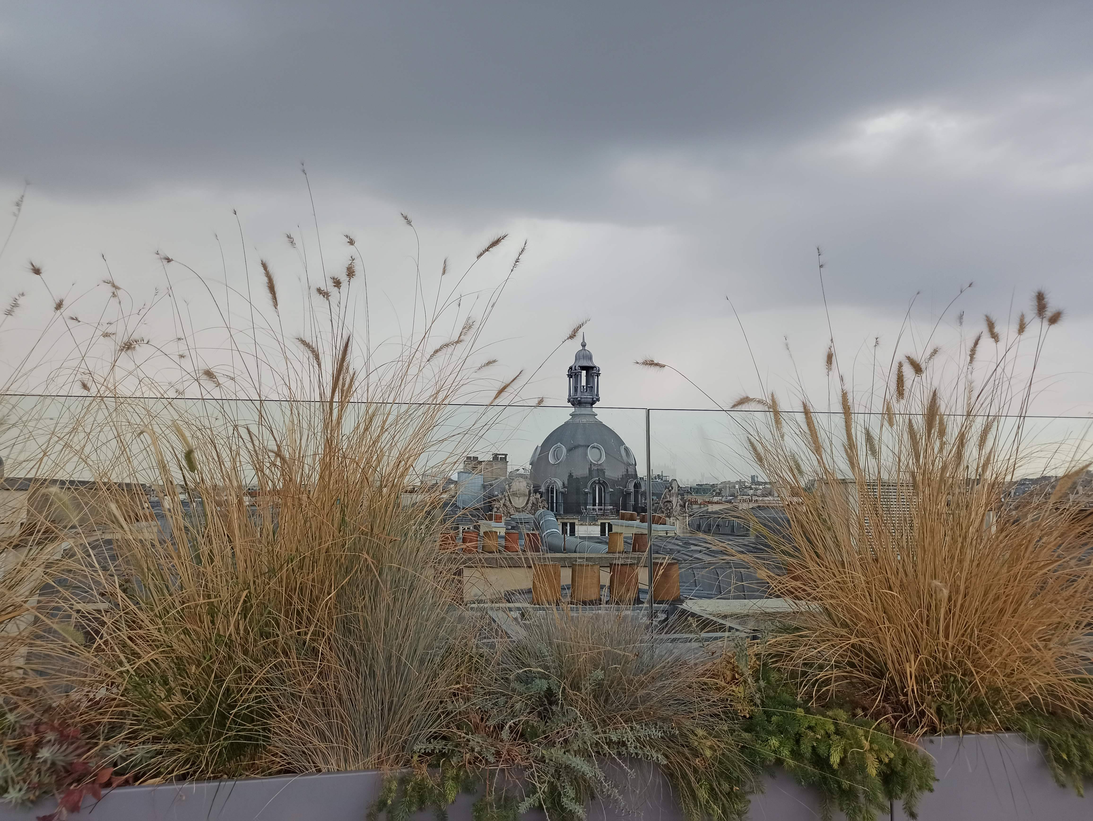 Photo n° 2 de l'avis de flo.a fait le 19/09/2020 à 19:12
