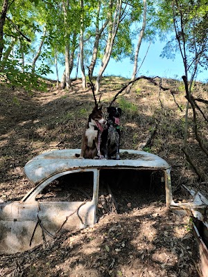 Cut Off Park - photo 19