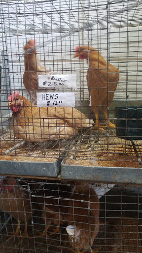 Animal Feed Store «Farmers Feed & Pet Supply», reviews and photos, 1302 E Miner Ave, Stockton, CA 95205, USA