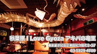I Love Gyoza アキバの竜王 秋葉原総本店