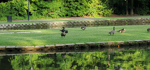 Park «Roswell Area Park», reviews and photos, 10495 Woodstock Rd, Roswell, GA 30075, USA