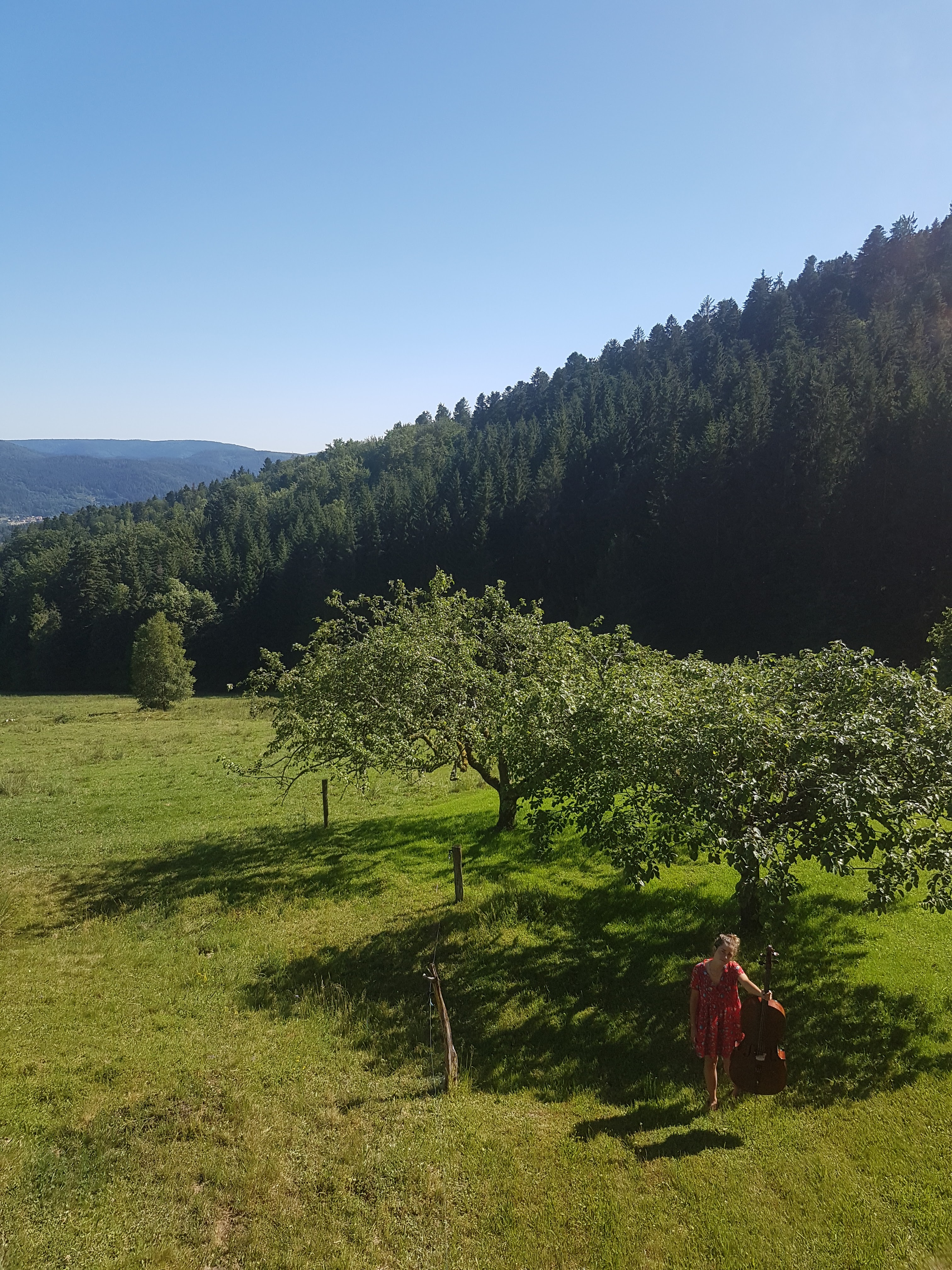 Photo n° 1 de l'avis de Manon.a fait le 29/06/2019 à 09:47