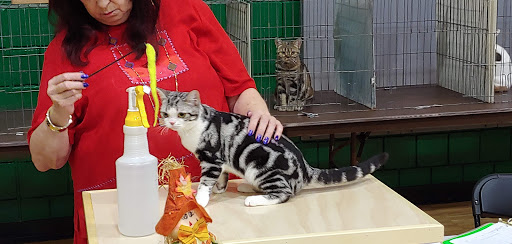 Community Center «Crystal Community Center», reviews and photos, 4800 Douglas Dr N, Minneapolis, MN 55429, USA