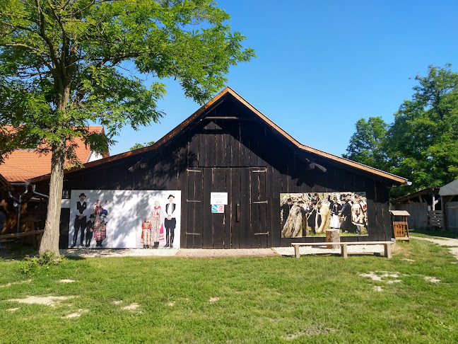 Hozzászólások és értékelések az Tradíció Folk Kft-ról