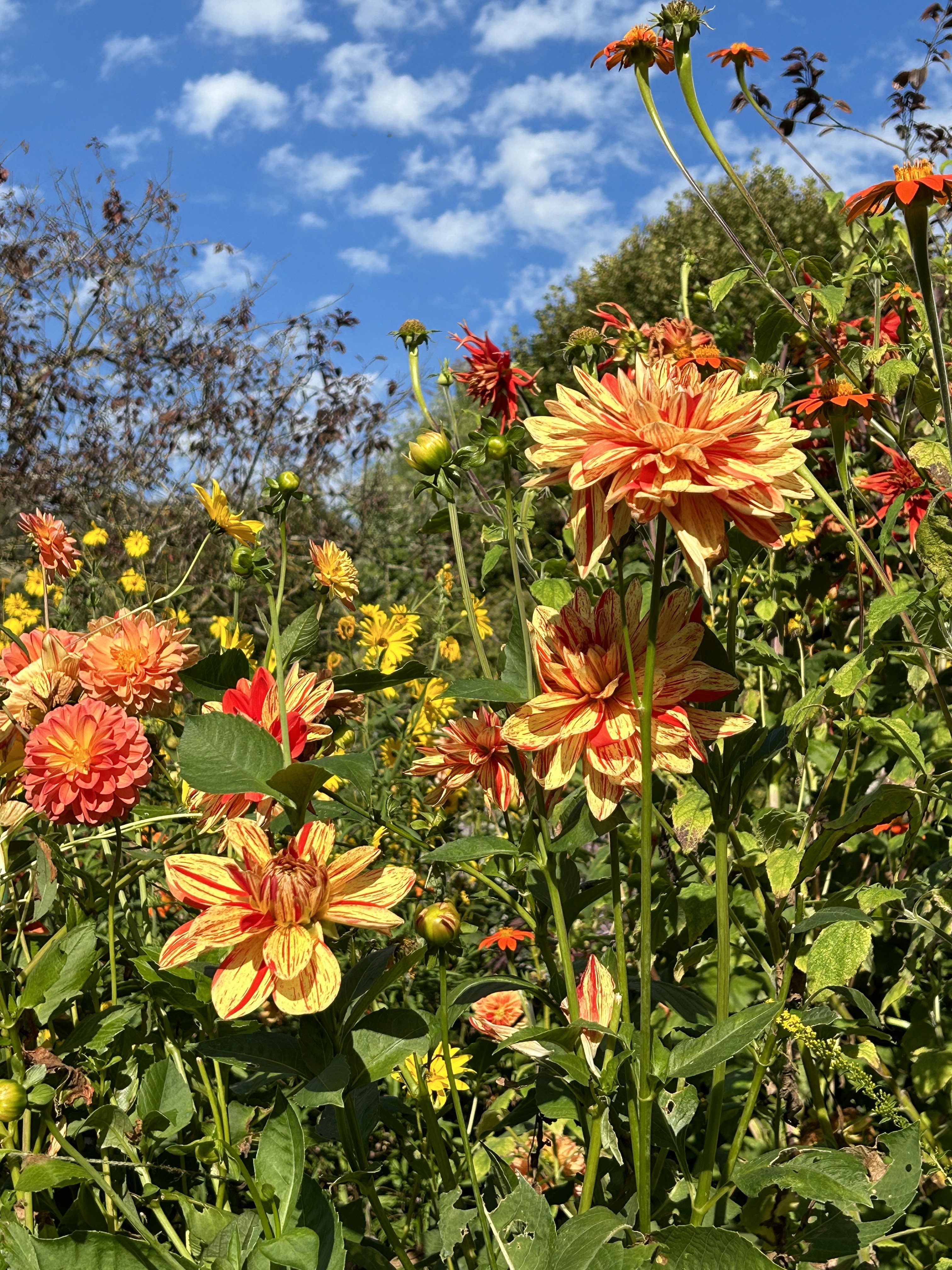 Photo n° 11 de l'avis de Justine.u fait le 12/10/2023 à 09:28