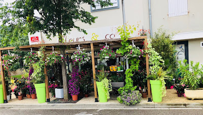 Fleurs Et Co à Saint-Zacharie