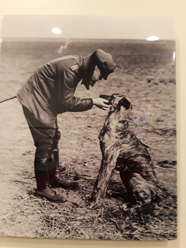 Museum «Elmhurst History Museum», reviews and photos, 120 E Park Ave, Elmhurst, IL 60126, USA