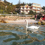 Photo n°1 de l'avis de Juan.a fait le 26/08/2018 à 19:23 sur le  Appartamenti Wieland à Torri del Benaco