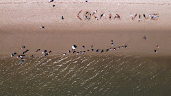 Foto di Praia da Cocaia ubicato in zona naturale