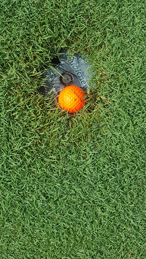 Golf Course «Woodruff Golf Course», reviews and photos, 621 Gougar Rd, Joliet, IL 60432, USA