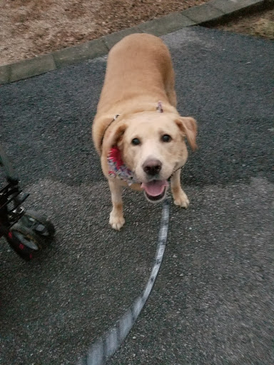 Park «Waterloo Park», reviews and photos, 6951 Old Waterloo Rd, Elkridge, MD 21075, USA