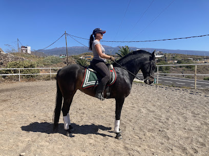 Cuadras El Medano ( Centro hípico, Horse riding, Reitausflüge, )