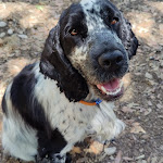 Photo n°6 de l'avis de Carmit. fait le 08/07/2023 à 18:11 sur le  Agriturismo la Montagnola à Torri in Sabina