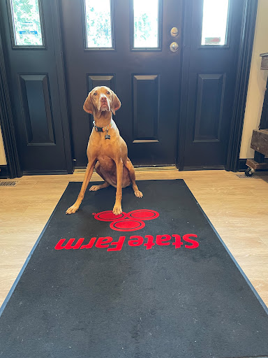 Auto Insurance Agency «State Farm: Chad Mitchell», reviews and photos