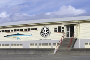 Island Bay Marine Education Centre-Bait House Aquarium