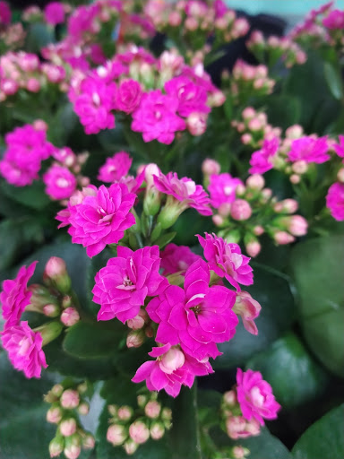 Home Improvement Store «The Home Depot», reviews and photos, 9615 Diamond Centre Dr, Mentor, OH 44060, USA