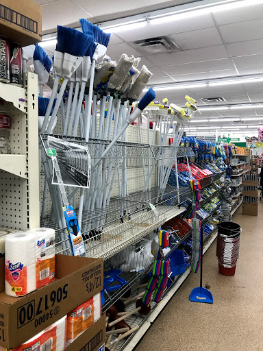 Dollar Store «Dollar Tree», reviews and photos, 8634 Baymeadows Rd, Jacksonville, FL 32256, USA