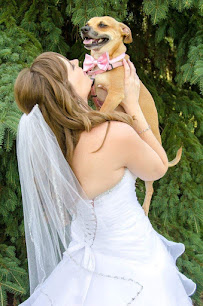 Rachel Abell Photography - Photo 8 - Car repair in , Brockton