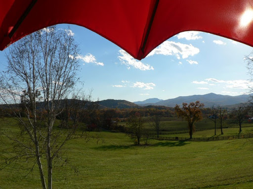 Winery «Little Washington Winery», reviews and photos, 72 Christmas Tree Ln, Washington, VA 22747, USA