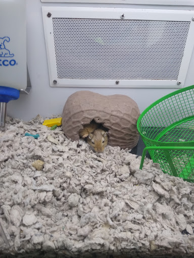 Pet Supply Store «Petco Animal Supplies», reviews and photos, 21851 Towne Center Dr, Watertown, NY 13601, USA