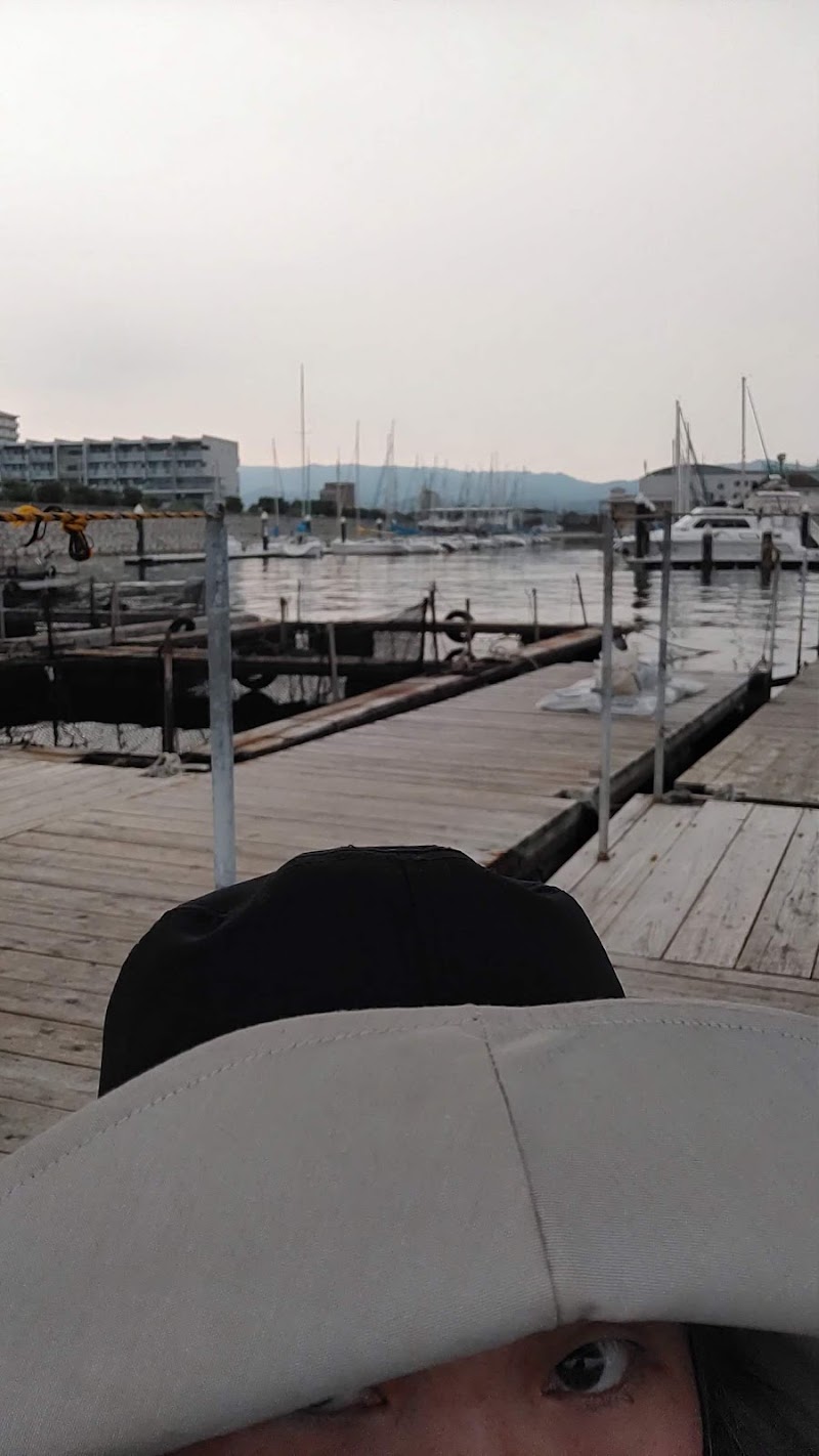 海釣ポート田尻 大阪府田尻町 釣り堀 グルコミ