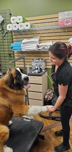 Pet Supply Store «EarthWise Pet Supply», reviews and photos, 7316 Yankee Rd, Liberty Township, OH 45044, USA