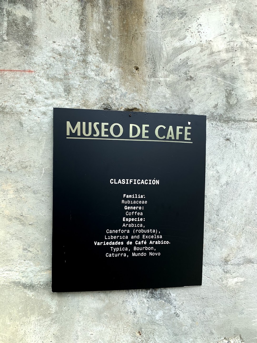 Museo del Café