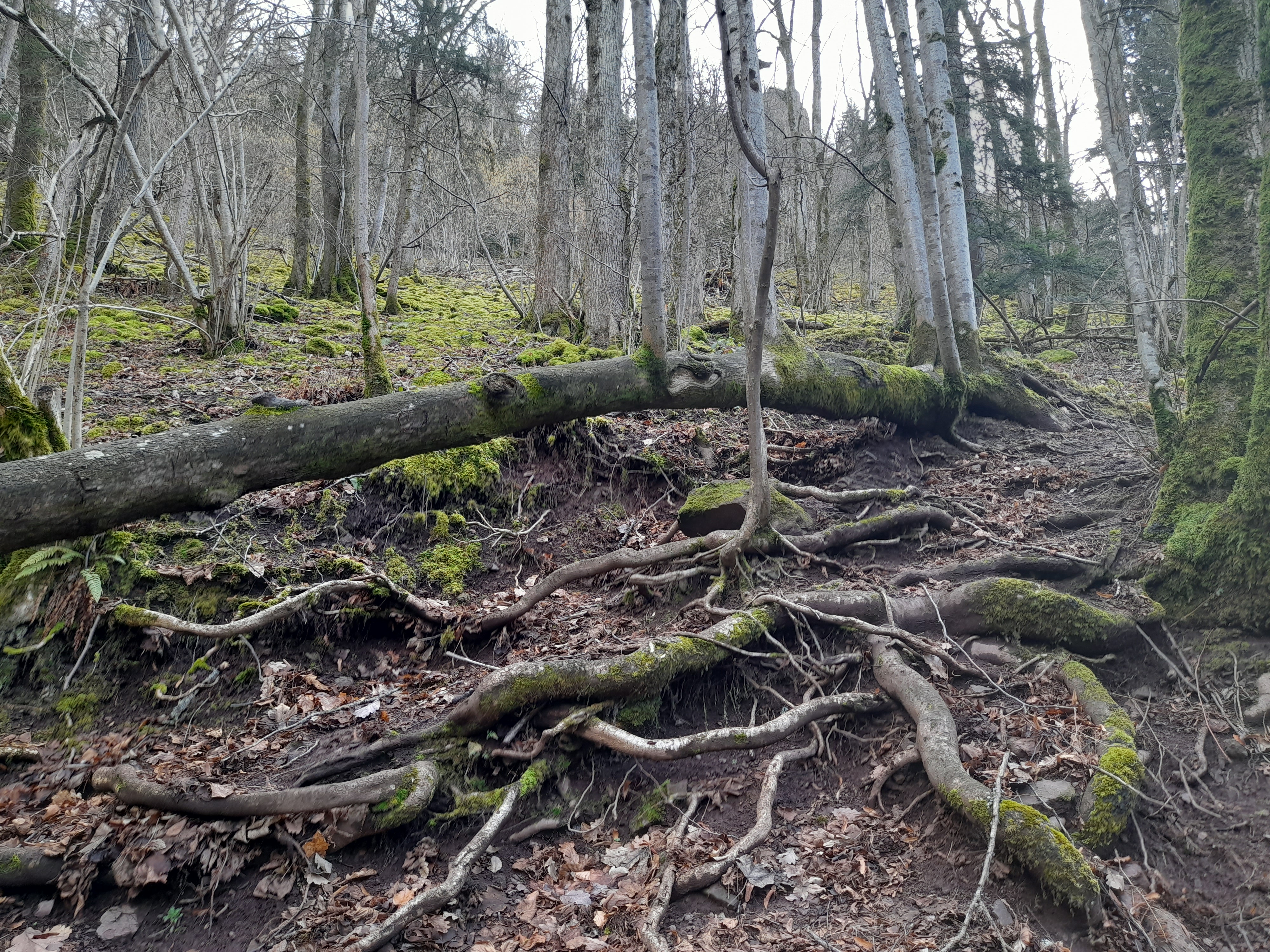 Photo n° 8 de l'avis de Allan. fait le 15/02/2024 à 17:31