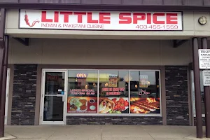 Little Spice image