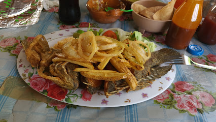 Comedor Vanessa