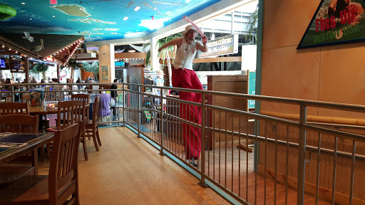 Shopping Mall «Destiny USA», reviews and photos, 9090 Destiny USA Dr, Syracuse, NY 13204, USA