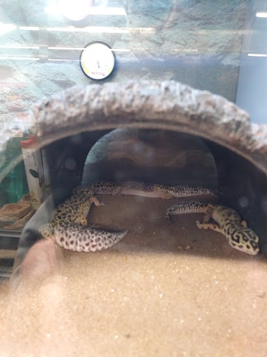 Pet Supply Store «Petco Animal Supplies», reviews and photos, 473 State Rd, North Dartmouth, MA 02747, USA