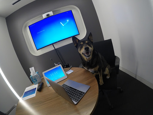 Go Pro image