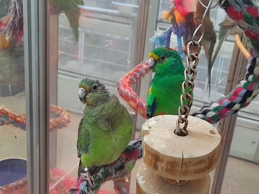 Pet Supply Store «Pet Expo Distributors», reviews and photos, 1800 Adams St, Mankato, MN 56001, USA