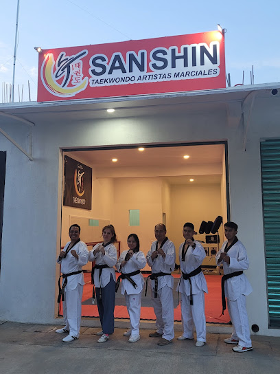 San shin taekwondo xoxo - Cam. Al Tequio 131, Sta Cruz Xoxocotlan, 71230 Oaxaca de Juárez, Oax., Mexico