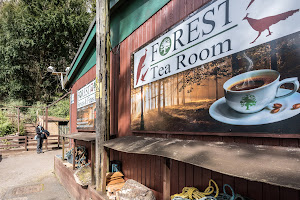 Forest Cafe