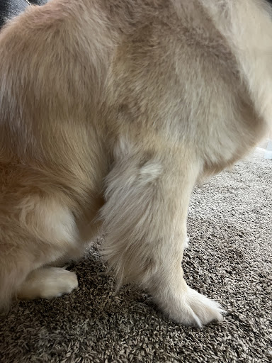 Pet Store «PetSmart», reviews and photos, 267 Berlin Turnpike, Berlin, CT 06037, USA