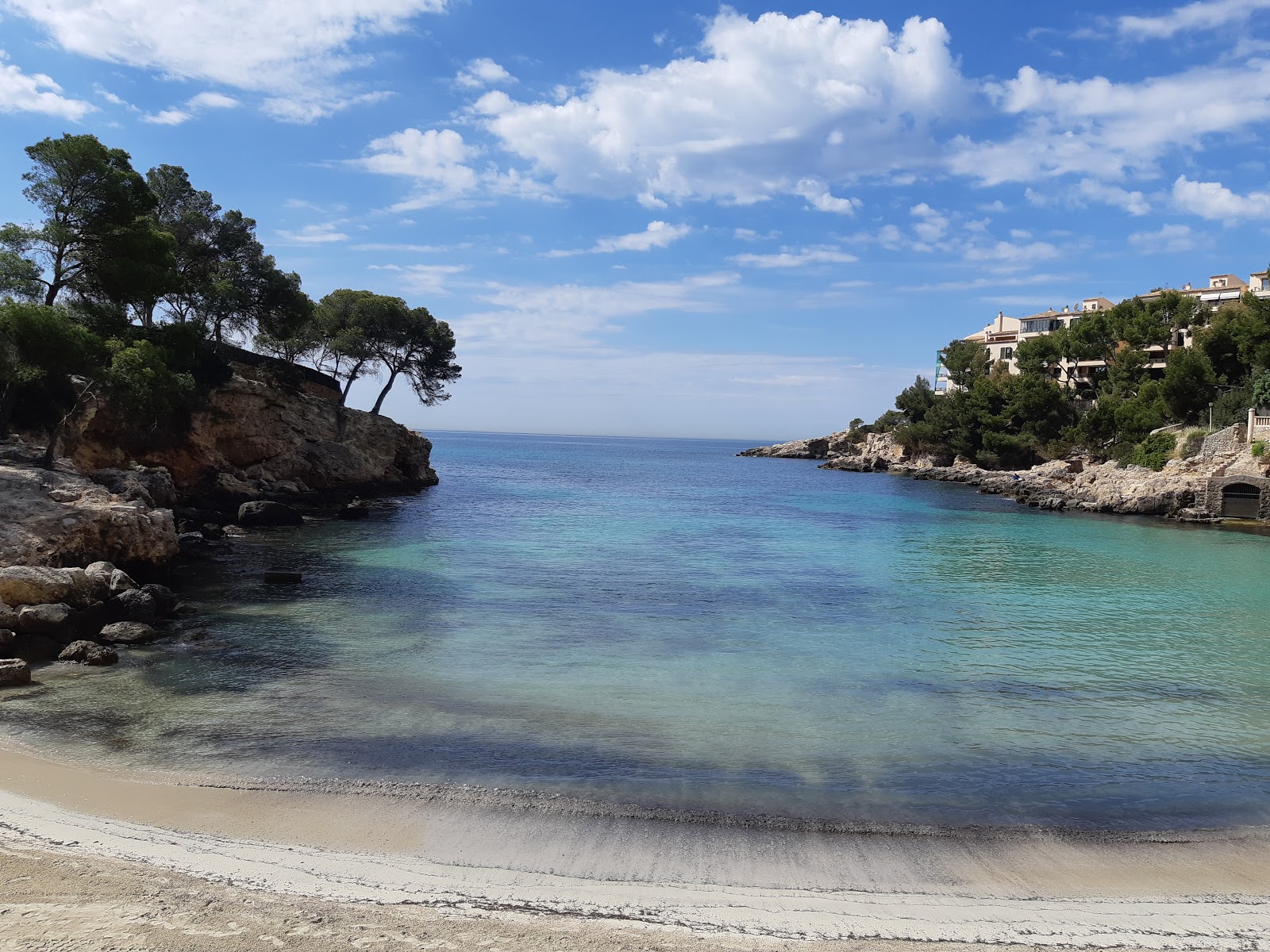 Caleta de Portals Nous'in fotoğrafı çok temiz temizlik seviyesi ile