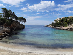 Caleta de Portals Nous'in fotoğrafı çok temiz temizlik seviyesi ile