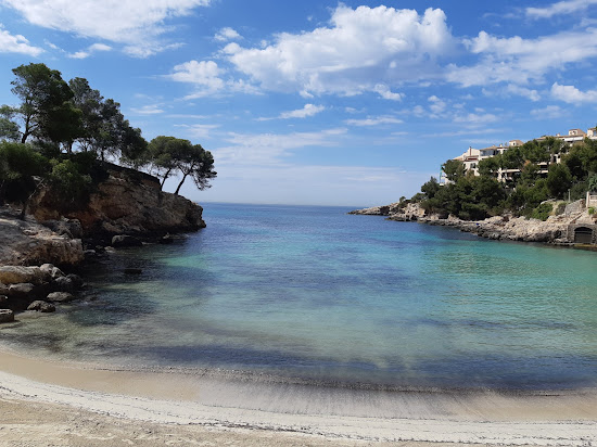 Caleta de Portals Nous
