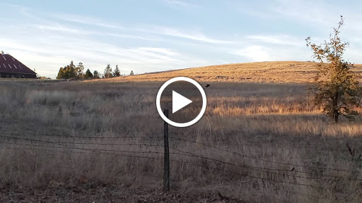 Observatory «Community Observatory», reviews and photos, 6699 Campus Dr, Placerville, CA 95667, USA