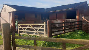 Self Catering Cottages - Dumfries and Galloway - Low Kirkbride Farm Holidays