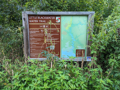 Little Blackwater Soft Launch & Water Trail